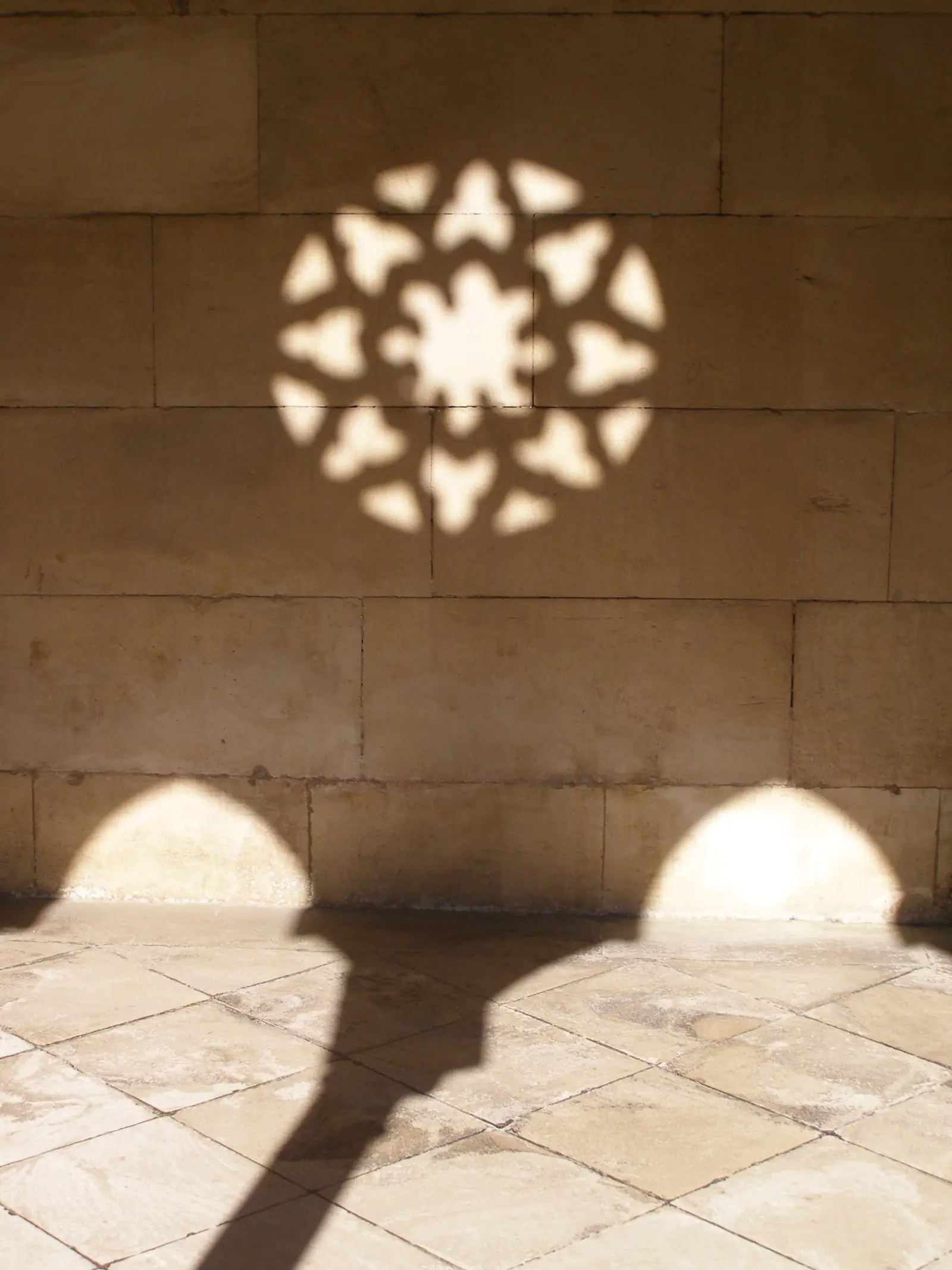 The shadow of a rose window falling on stone in the cloister of King Dinis, Alcobaça