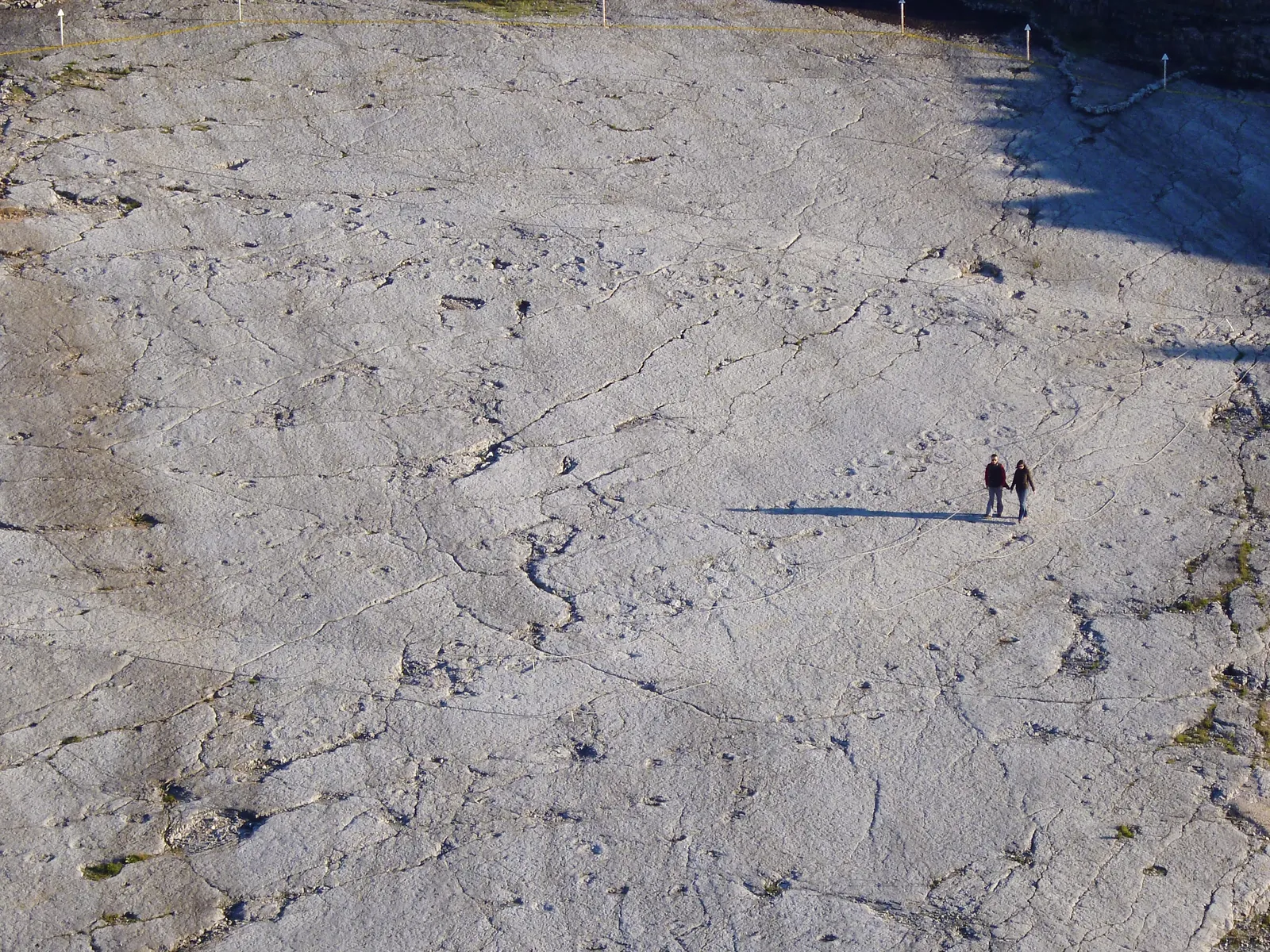 Long sauropod trackways crossing the limestone slab of the Serra de Aire dinosaur footprints monument