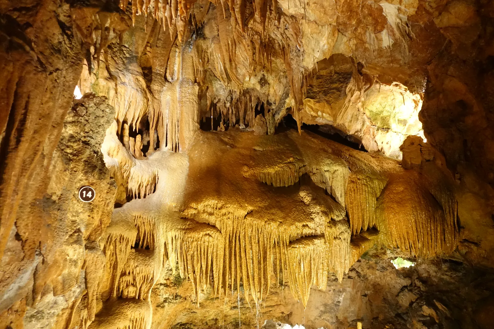 Golden-lit stalactites and flowstone draperies inside the Mira de Aire caves