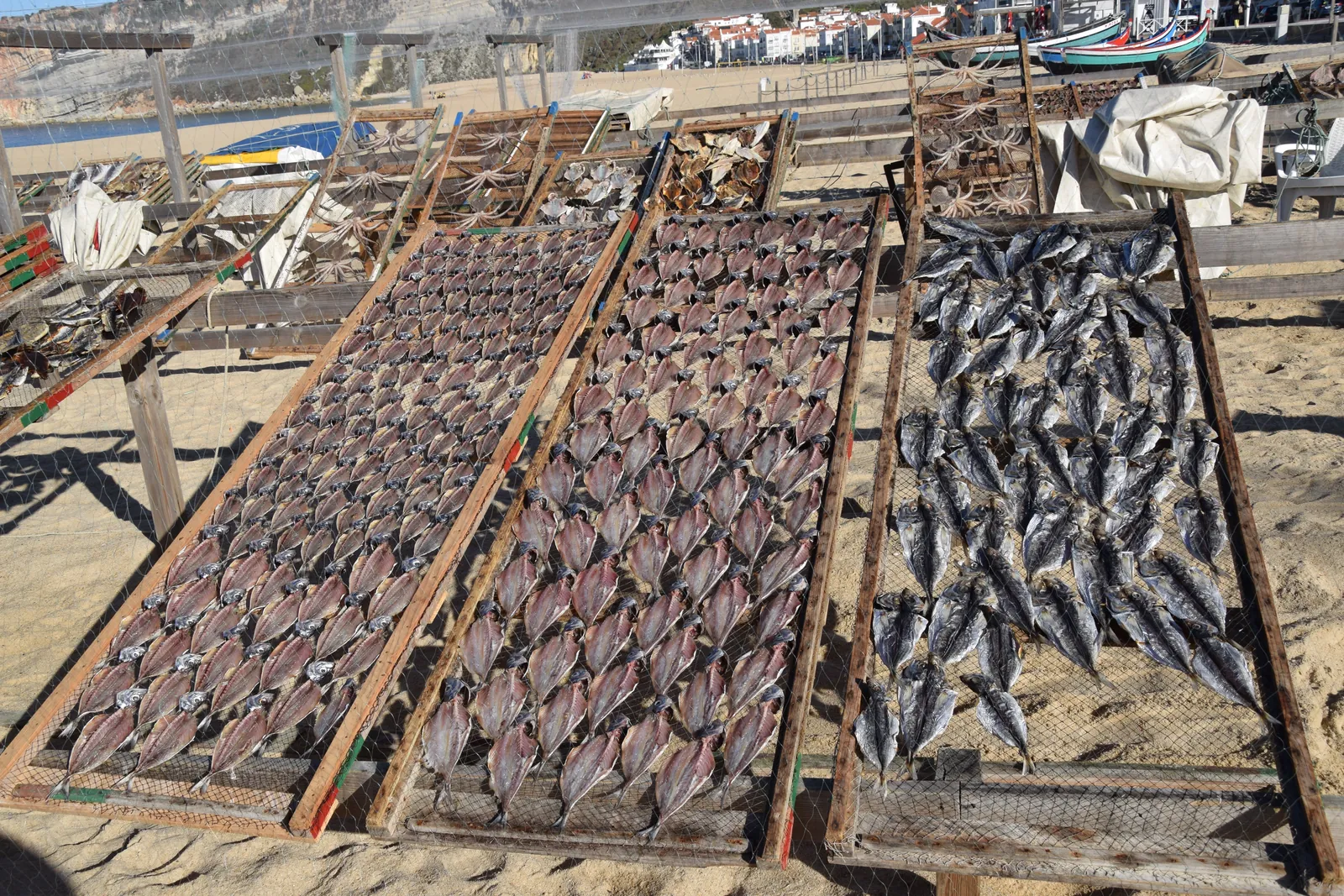 Split fish laid out to dry on traditional wooden net racks on Nazaré beach, with painted boats behind