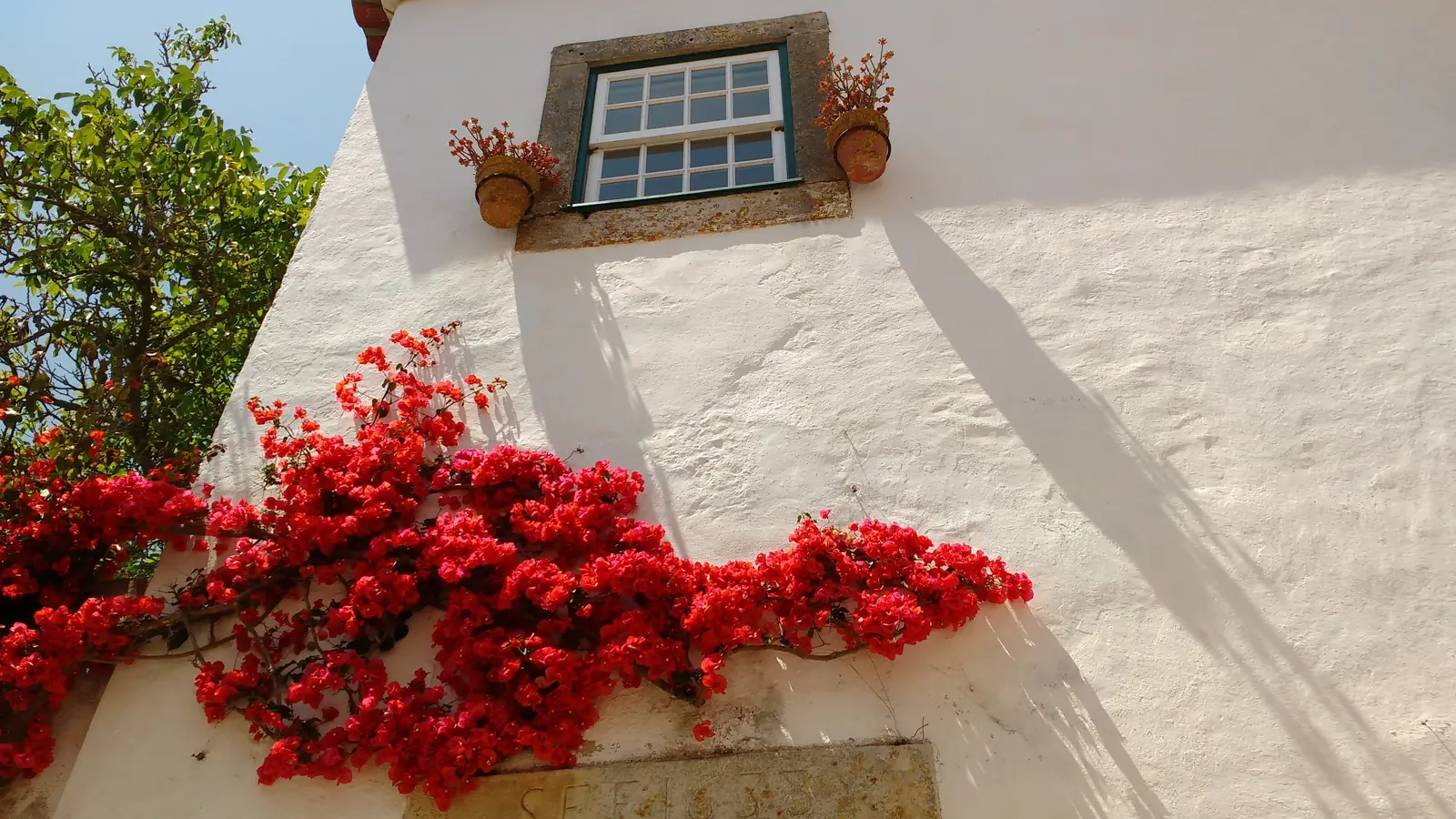 Red bougainvillea against a sunlit whitewashed wall and window in Óbidos