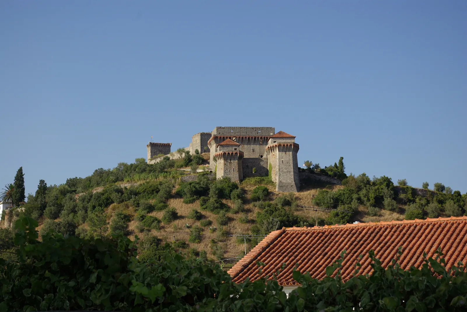 The medieval castle and palace of Ourém crowning its wooded hilltop above terracotta rooftops in warm evening light