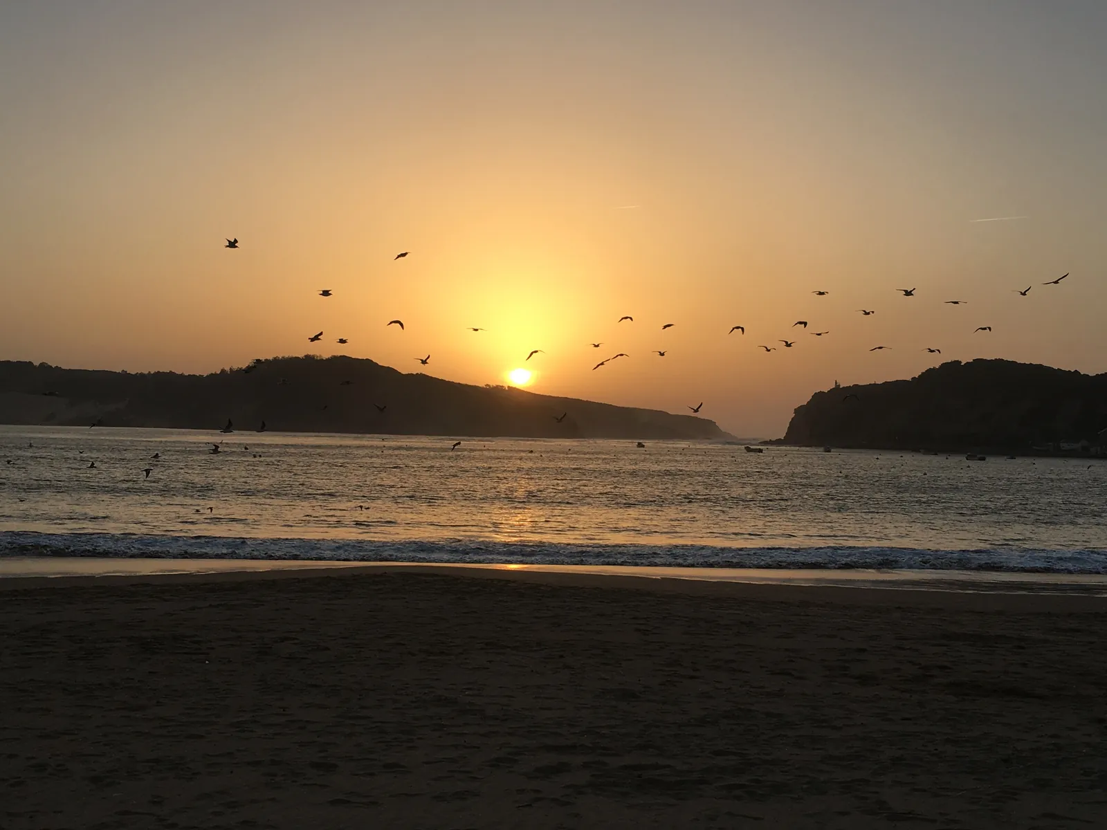 The sun setting between the headlands at the mouth of São Martinho do Porto bay as gulls fly past